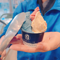 沼津深海プリン工房 青とプリンとジェラートと