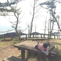 神割崎キャンプ場