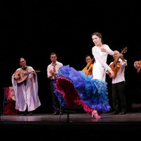 Estudio ILIA FLAMENCA