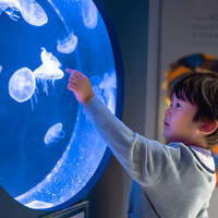 スマートアクアリウム静岡（SMART AQUARiUM SHIZUOKA）