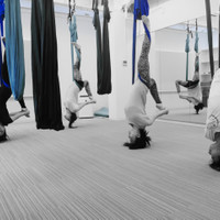 IN BODY shala