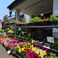 新生房の駅