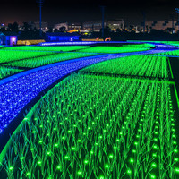 TOKYO MEGA ILLUMINATION