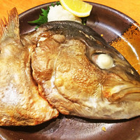 博多中洲 遊食亭 