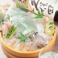 泳ぎイカ・もつ鍋・馬刺し 九州うまか 新大宮店