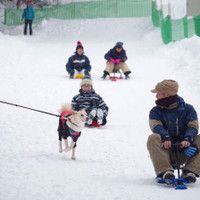 HAKUBA VALLEY 鹿島槍スキー場