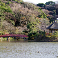 ローズホテル横浜
