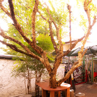 Design Festa Cafe & Bar