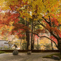 星のや京都