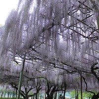 一般社団法人 信州上田観光協会