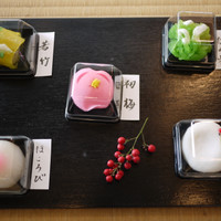 忍者VR 弥助 & 忍者茶屋 弥助