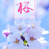 JTBショッピング
