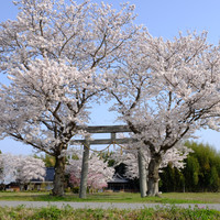 一般社団法人亀岡市観光協会JR亀岡駅観光案内所