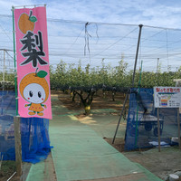 大彦園