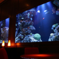 ＤＥＮ アクアルーム 新宿（DEN AQUAROOM SHINJUKU）