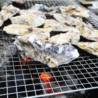 松かき