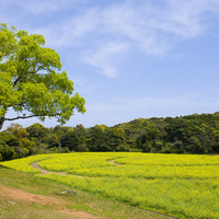 展海峰（佐世保市）