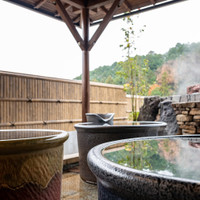 武芸川温泉
