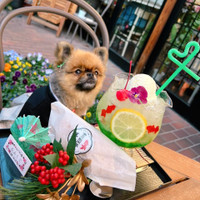 Café & Bar 金魚亭