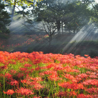 奥霧島皇子原公園キャンプ場
