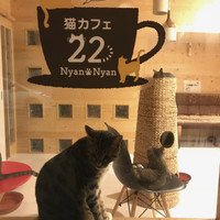 鹿の音がこだまするお宿　離れ　花山水
