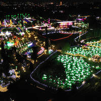 美らヤシパークオキナワ・東南植物楽園