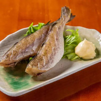 浜っ子 大通り・時計台店