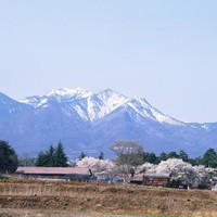 JTB旅ホ連山梨支部