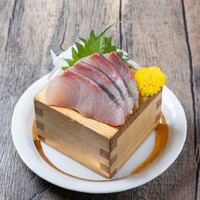 純酒場 ばか息子