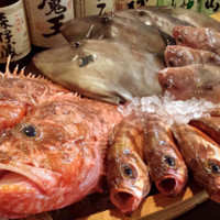 居酒屋 うかい
