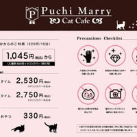 猫カフェPuchiMarryイオンモール大牟田店