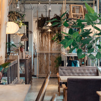green商店