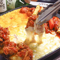 韓国料理 ホンデポチャ 武蔵小杉店