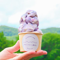 ブルーベリーと里山と