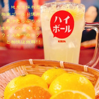 小田原産 朝どれ地魚地酒 湘南大衆横丁 小田原店