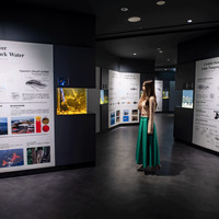 スマートアクアリウム静岡（SMART AQUARiUM SHIZUOKA）