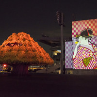 TOKYO MEGA ILLUMINATION