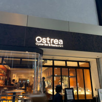 オストレア oysterbar&restaurant 六本木店（Ostrea）