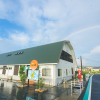 ぬか酵素 Sun燦