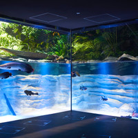 カワスイ 川崎水族館