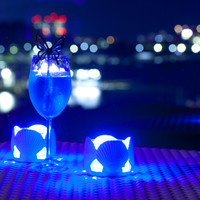 Wakanoura Nature Resort エピカリス