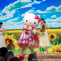 HELLO KITTY SHOW BOX
