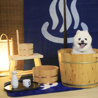 ゆとりろ洞爺湖