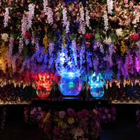 アートアクアリウム美術館 GINZA