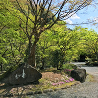 渓谷別邸　もちの木