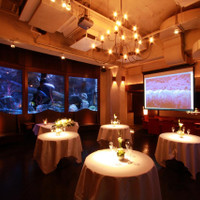 DEN AQUAROOM 青山