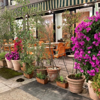 フラミンゴカフェ グラッセリア青山店