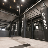 EX FIGHT