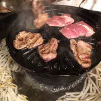 狐白
