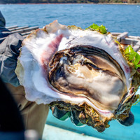 古谷水産